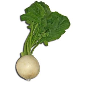 Produce - Turnip White