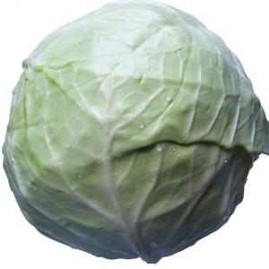 Fresh Produce - White Cabbage